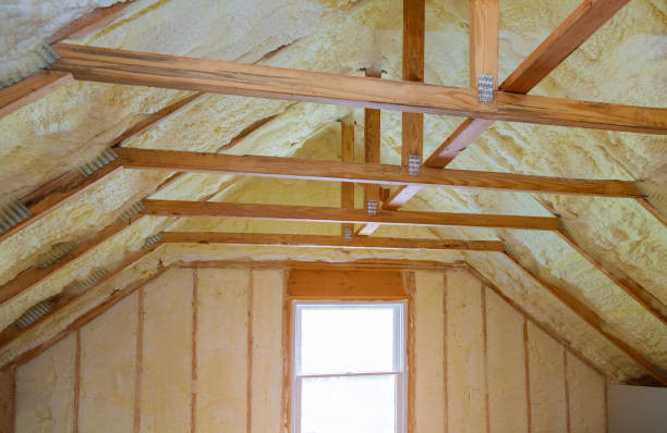 Best Residential Insulation in Mount Morris, IL