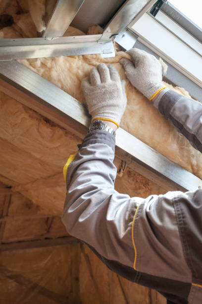Best Sustainability and Green Building in Mount Morris, IL
