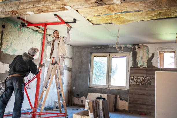Best Types of Insulation in Mount Morris, IL